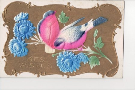 Postcard-Best Wishes with birds