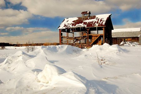 Barn Stripped