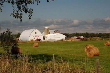 White Barn