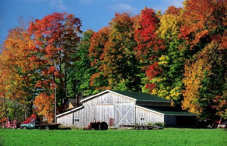 Autumn Barn Scene